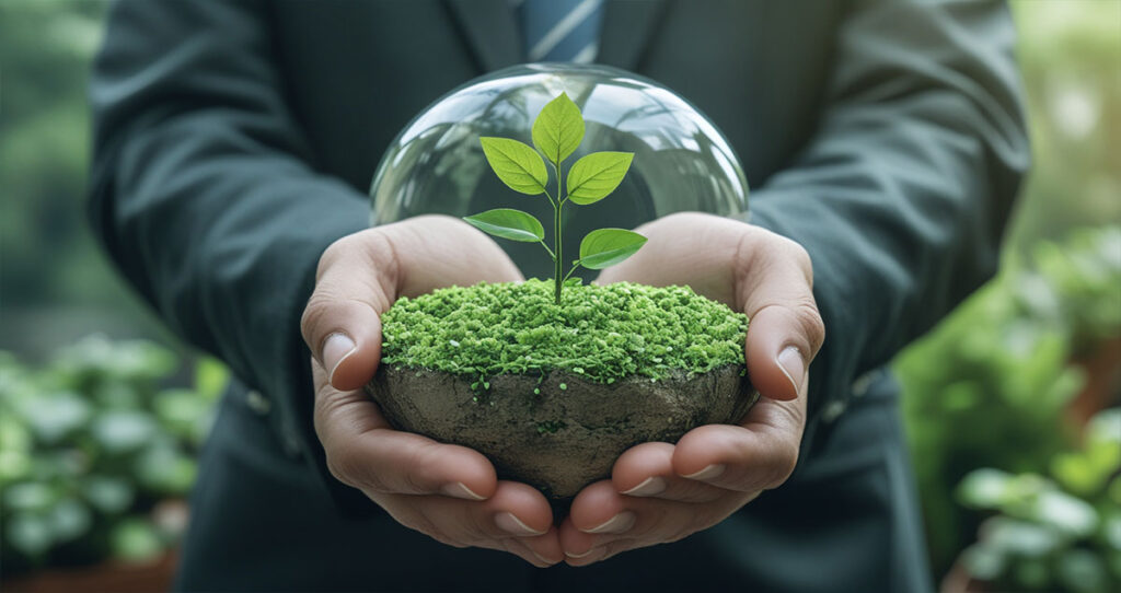 Green and Lean: Sustainable Cost-Saving Innovations